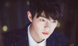 肖战八卦吃瓜娱乐,娱乐圈风云再起，八卦吃瓜背后的真相揭秘