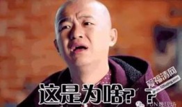 包贝尔节目爆料视频大全,揭秘娱乐圈幕后真相